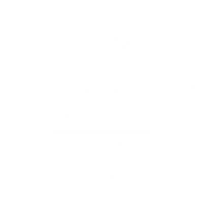 scouts