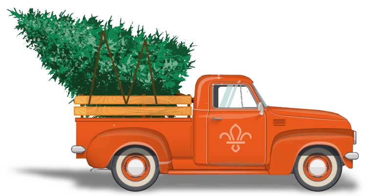 truck carrying a Christmas tree